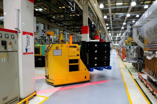 在上海嘉定感受智能汽车创新“热带雨林”